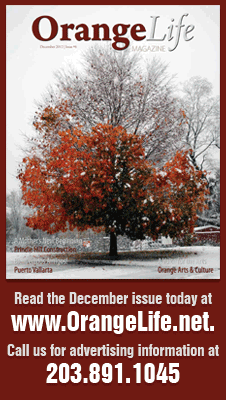 Read OrangeLife Online